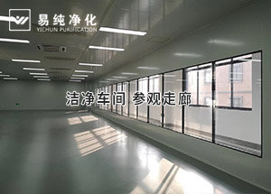 潔凈參觀走廊這樣設(shè)計(jì)大氣不？